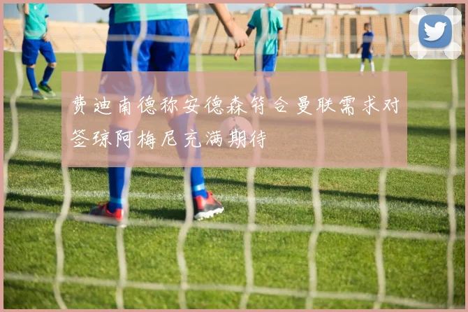 费迪南德称安德森符合曼联需求对签琼阿梅尼充满期待
