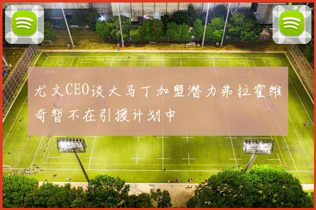 尤文CEO谈大马丁加盟潜力弗拉霍维奇暂不在引援计划中