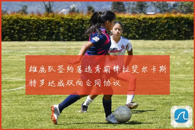雄鹿队签约落选秀前锋拉斐尔卡斯特罗达成双向合同协议